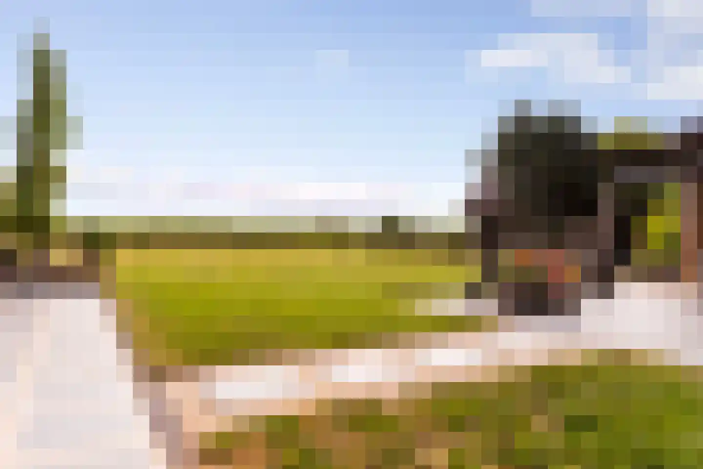 Zomerweg 60 Drempt thumbnail 61