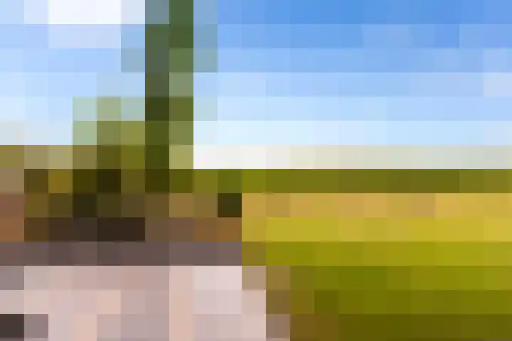 Zomerweg 60 Drempt thumbnail 62