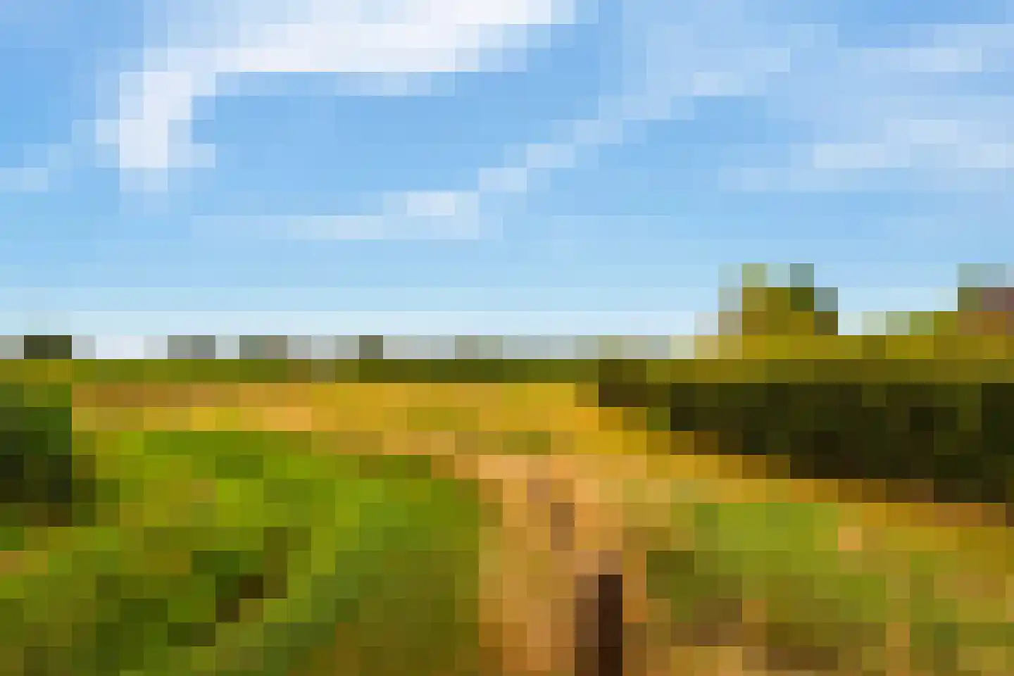 Zomerweg 60 Drempt thumbnail 63