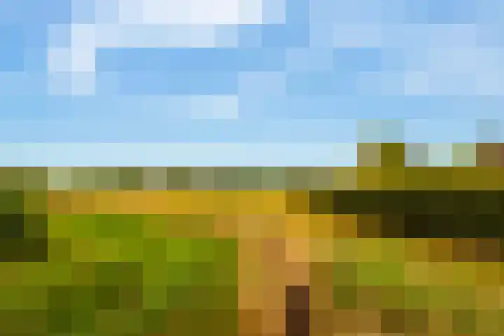 Zomerweg 60 Drempt thumbnail 63