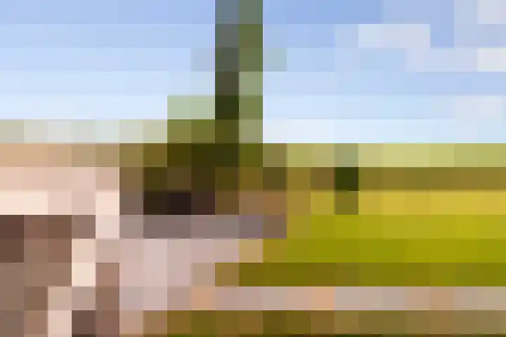 Zomerweg 60 Drempt thumbnail 64
