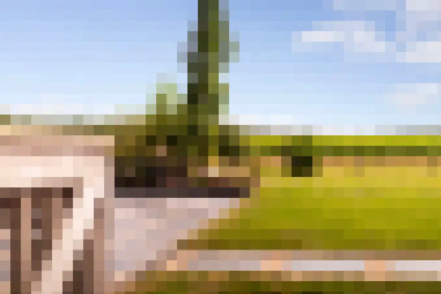 Zomerweg 60 Drempt thumbnail 64