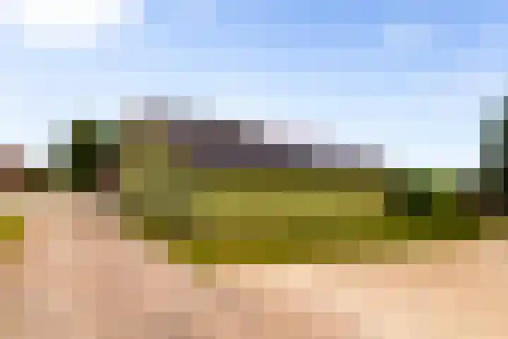 Zomerweg 60 Drempt thumbnail 65