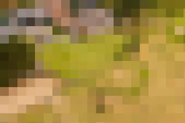 Zomerweg 60 Drempt thumbnail 67