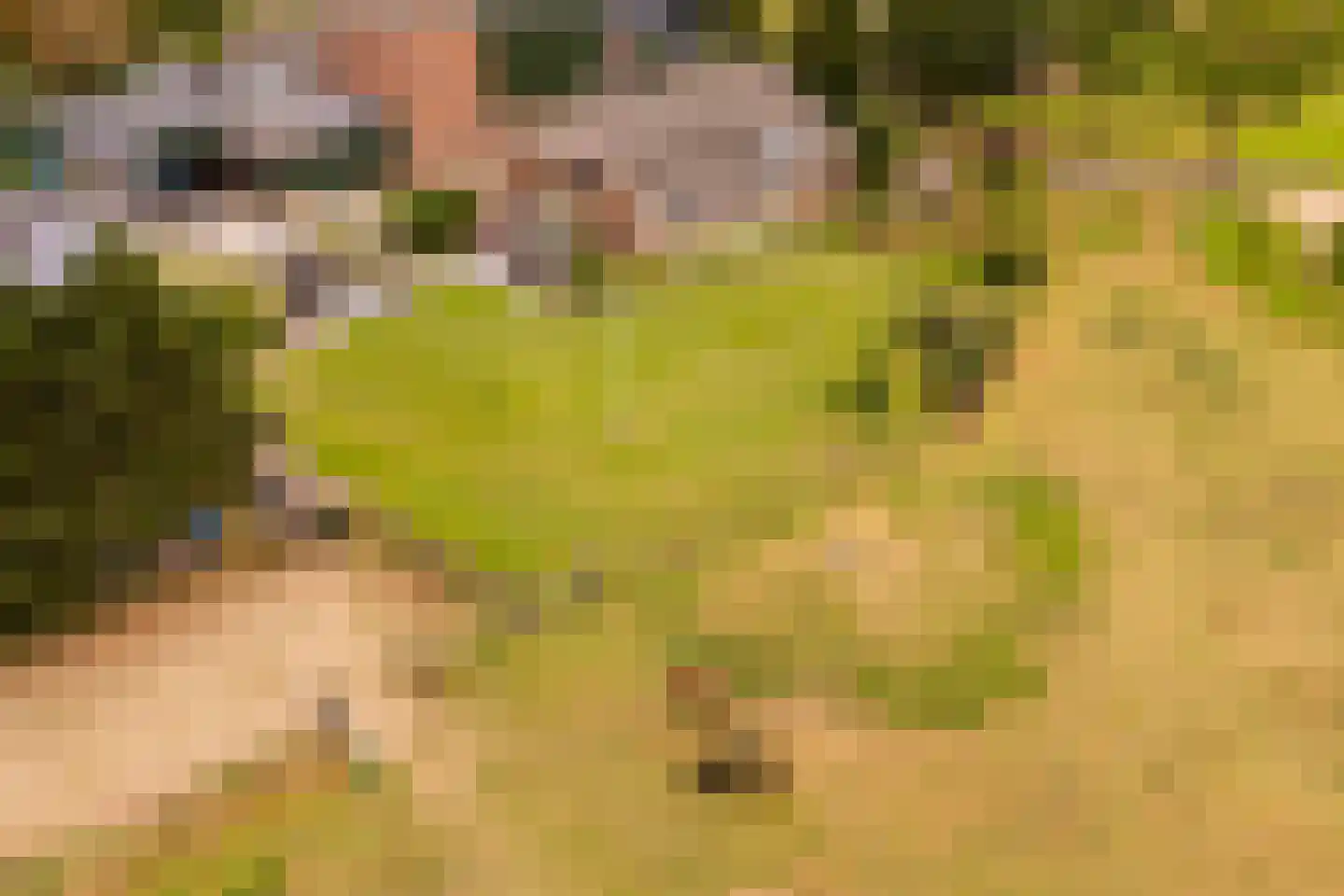 Zomerweg 60 Drempt thumbnail 67