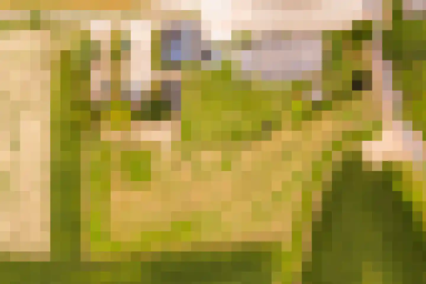 Zomerweg 60 Drempt thumbnail 68