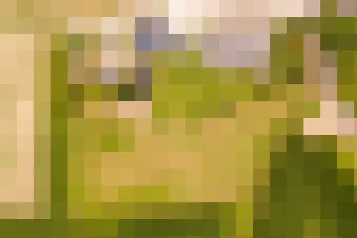 Zomerweg 60 Drempt thumbnail 68
