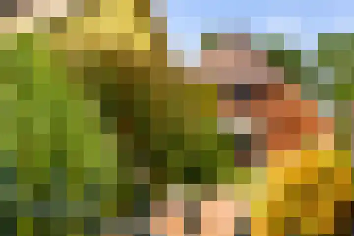 Zomerweg 60 Drempt thumbnail 7