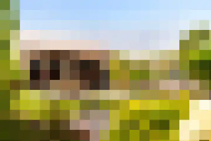 Zomerweg 60 Drempt thumbnail 8