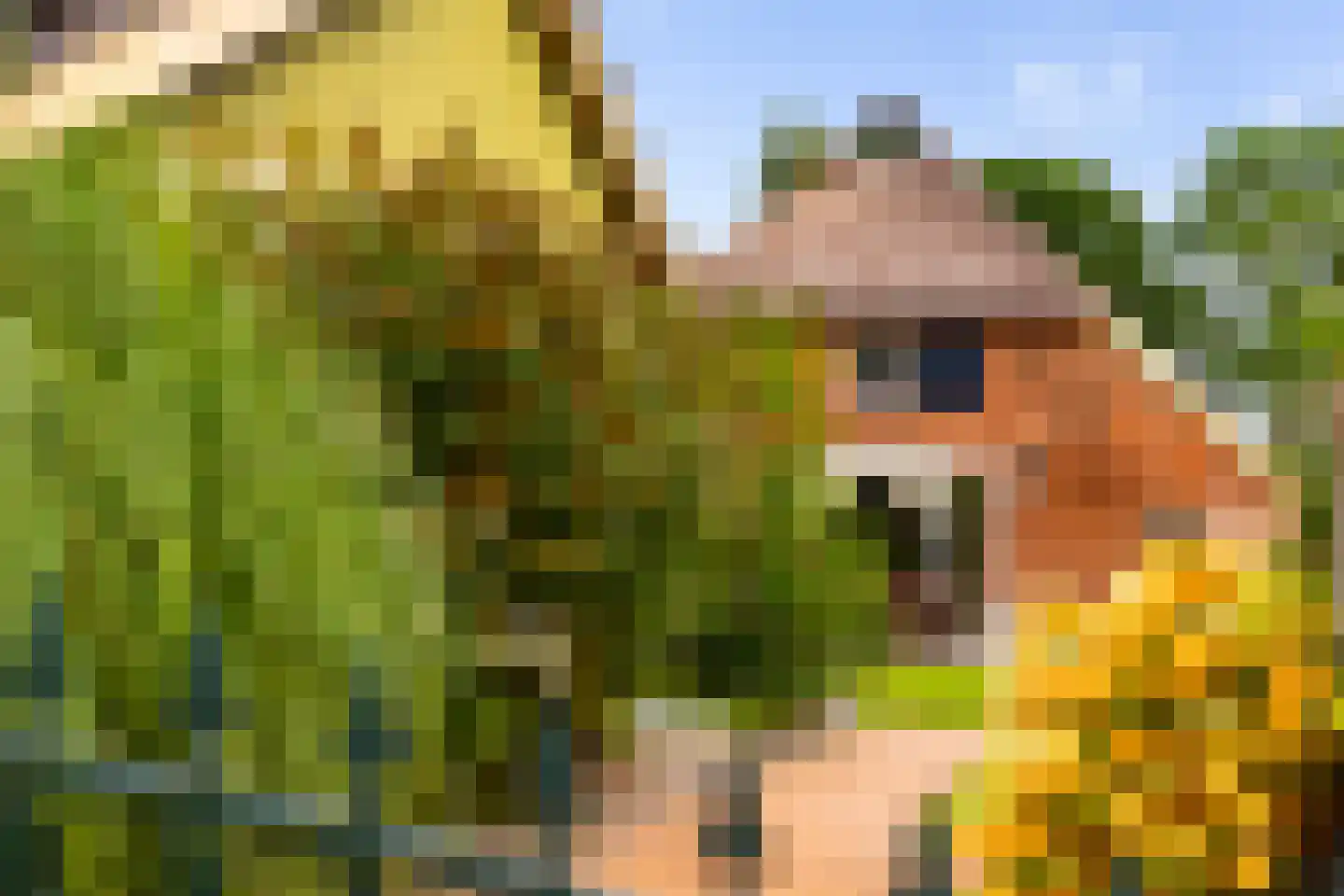 Zomerweg 60 Drempt thumbnail 8