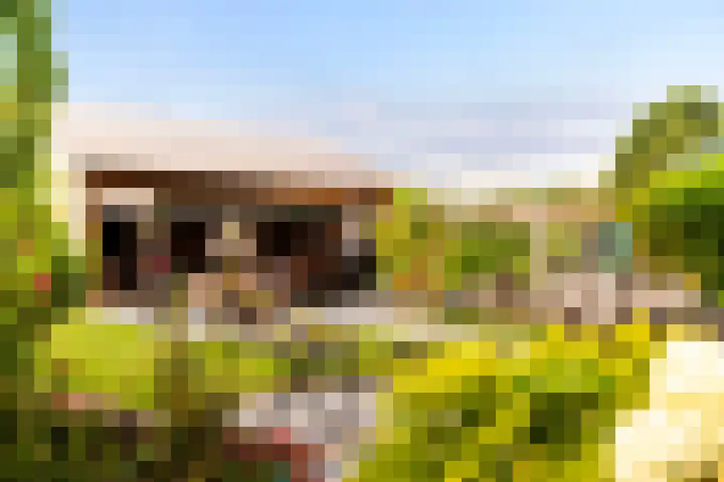 Zomerweg 60 Drempt thumbnail 9