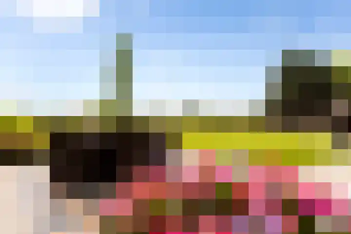 Zomerweg 60 Drempt thumbnail 9