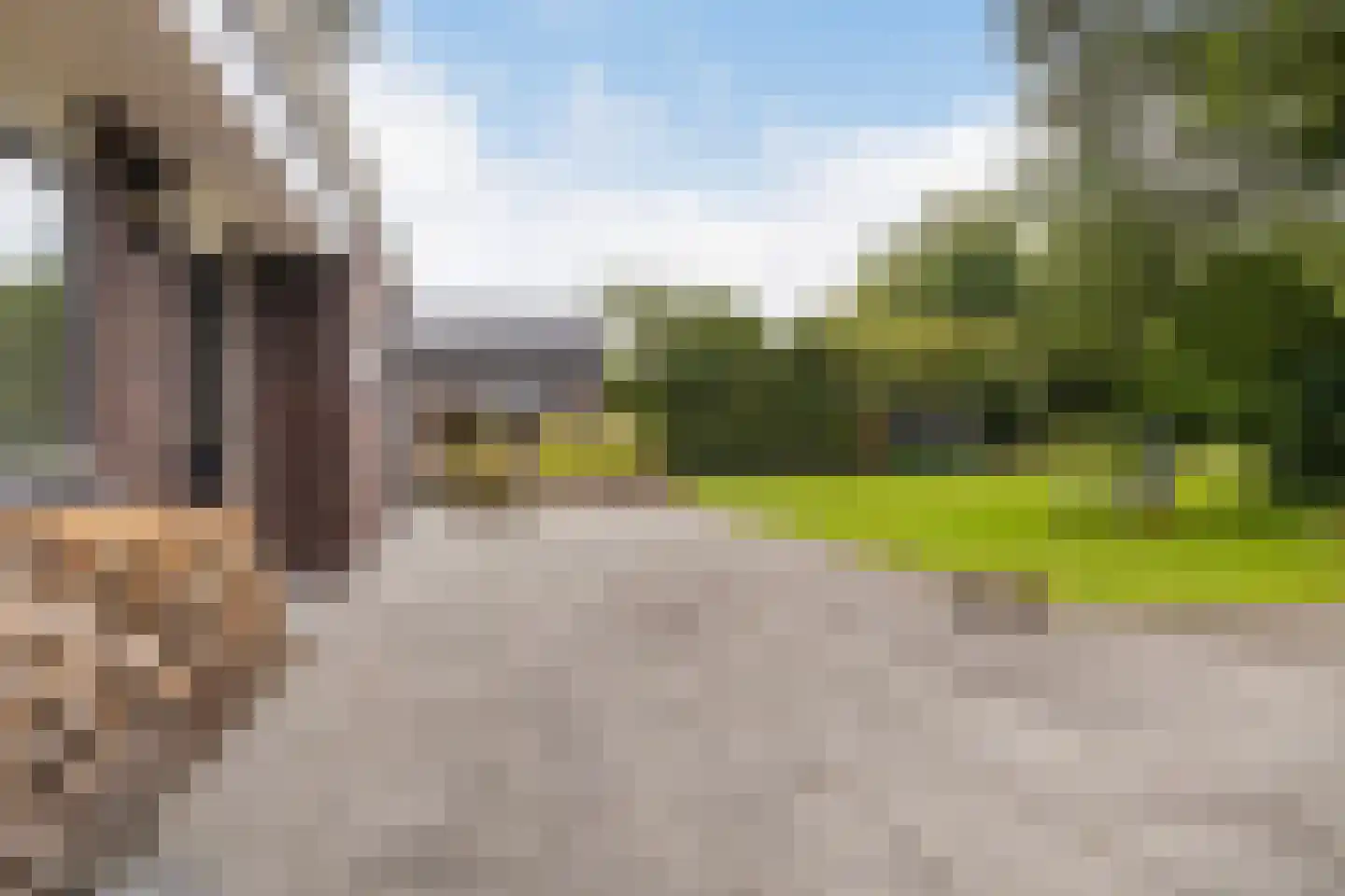 Zomerweg 68 Burgum thumbnail 34