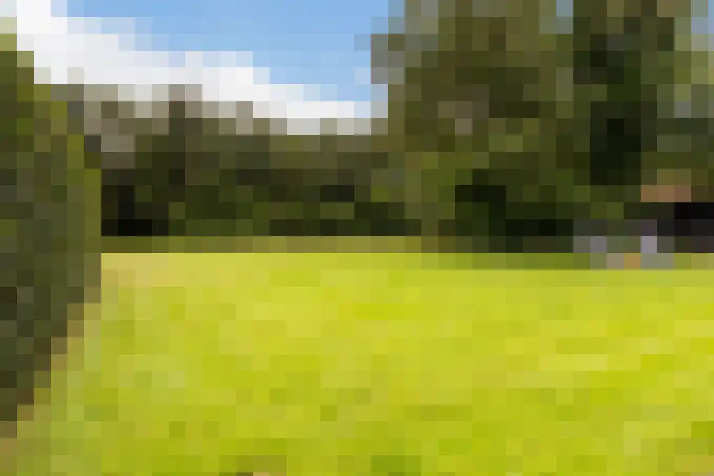 Zomerweg 68 Burgum thumbnail 38