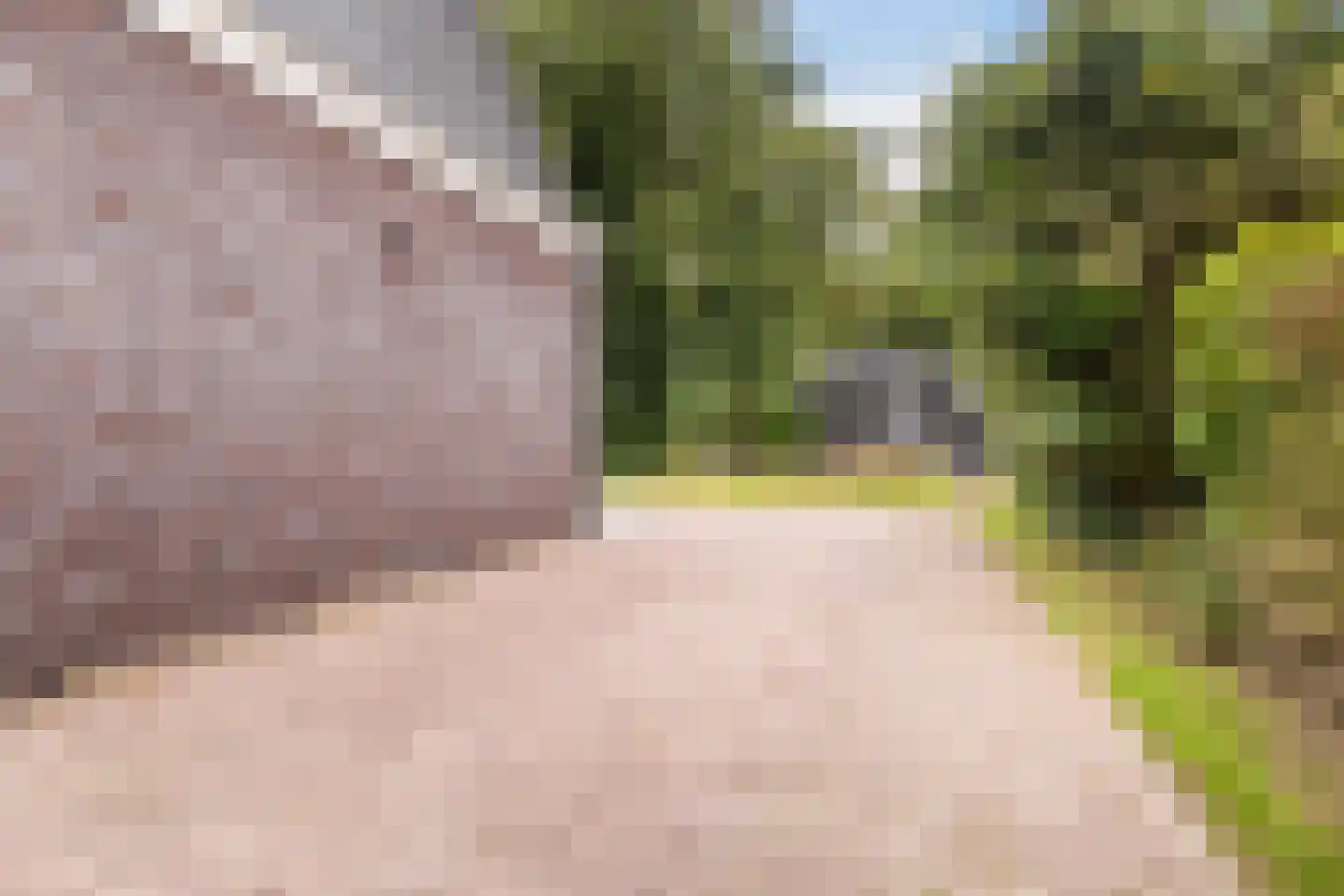 Zomerweg 68 Burgum thumbnail 65