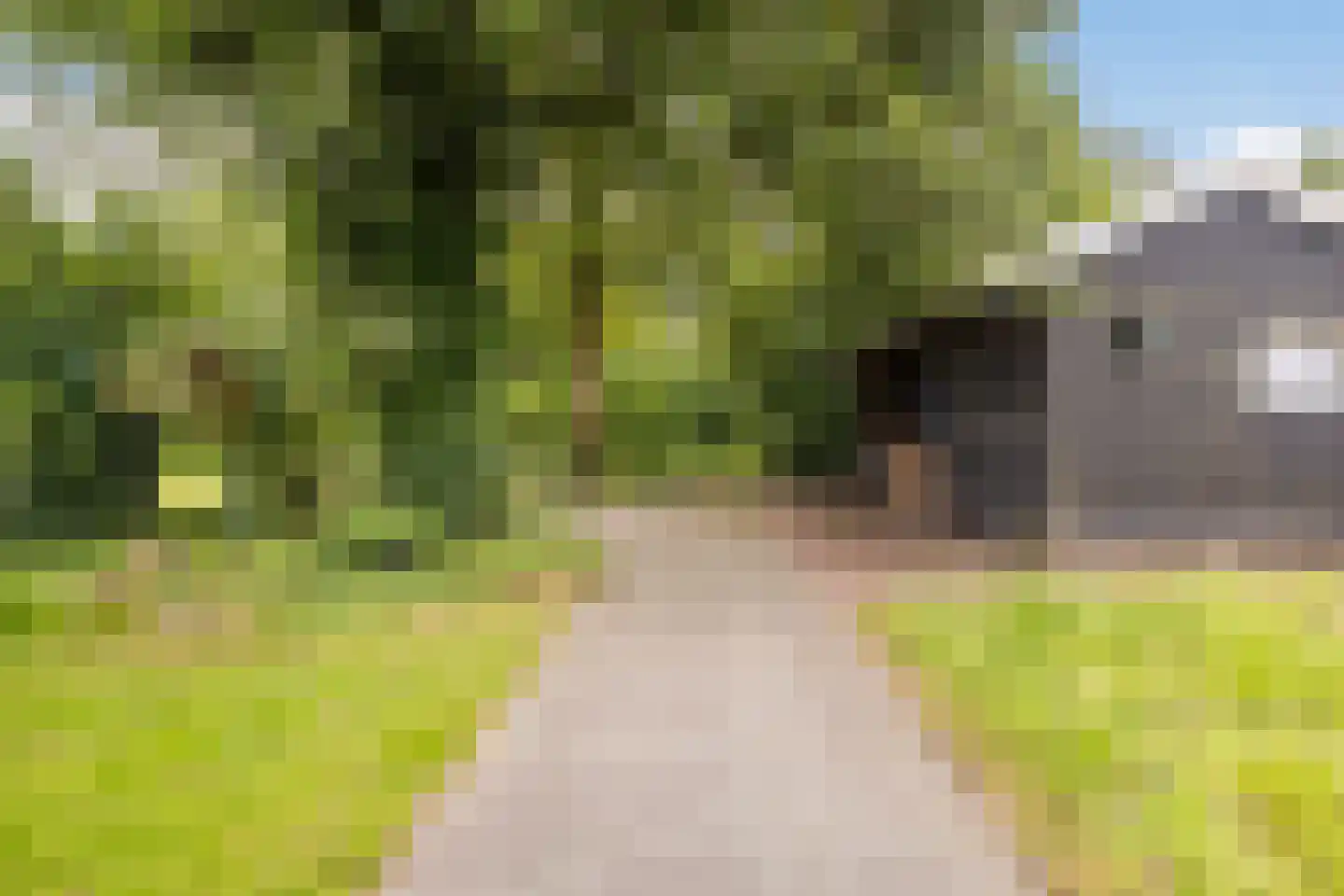 Zomerweg 68 Burgum thumbnail 66