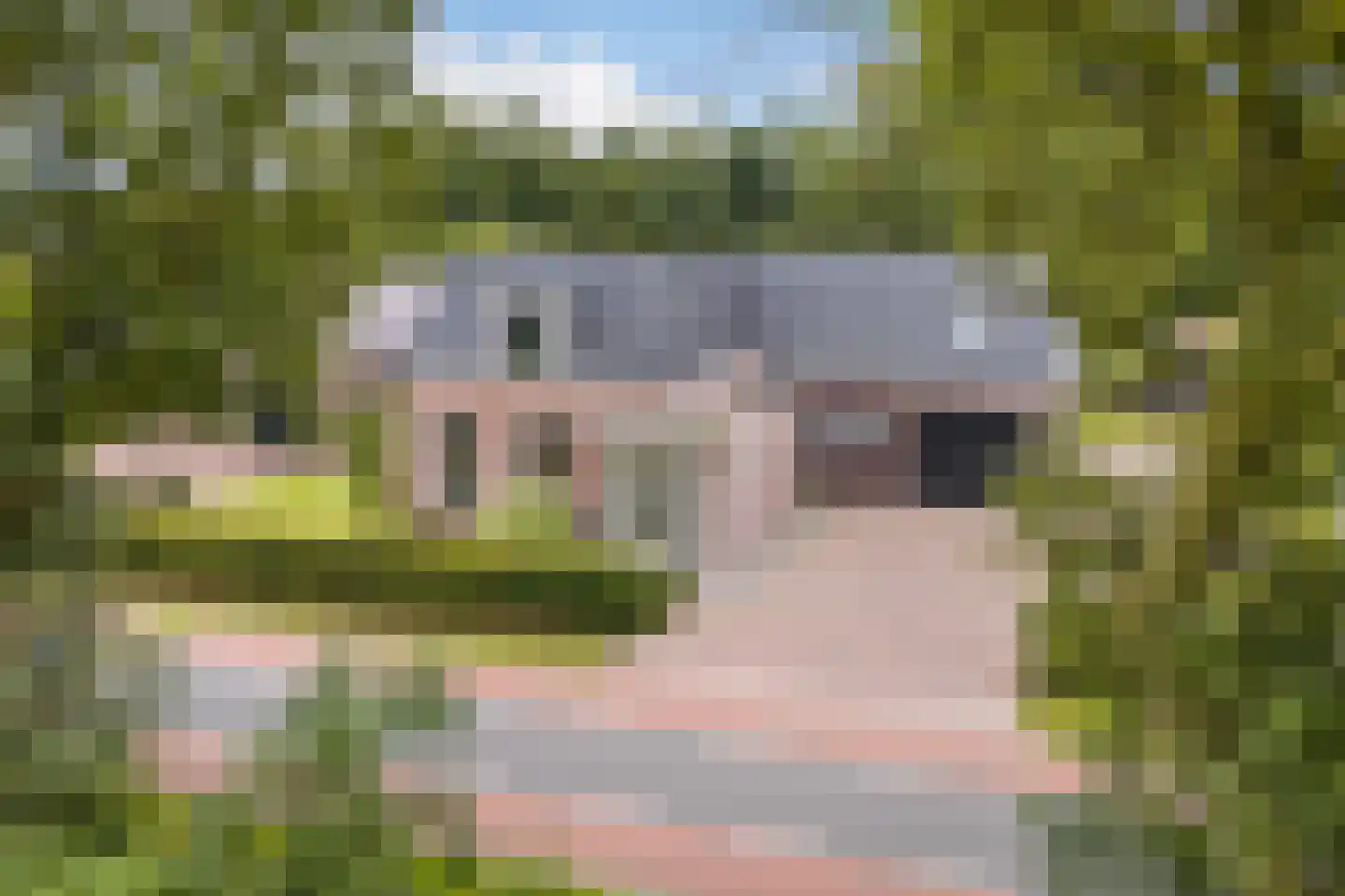 Zomerweg 68 Burgum thumbnail 67