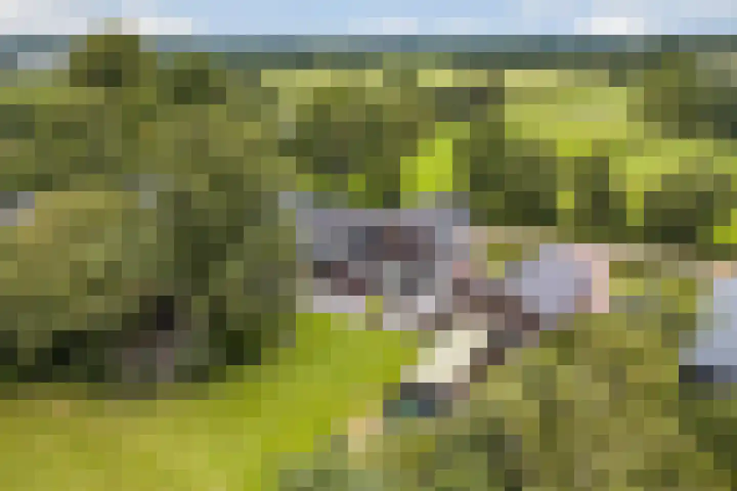 Zomerweg 68 Burgum thumbnail 68