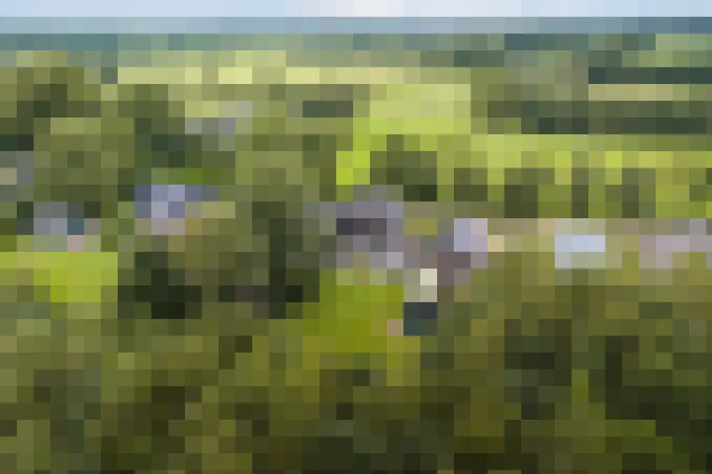Zomerweg 68 Burgum thumbnail 69
