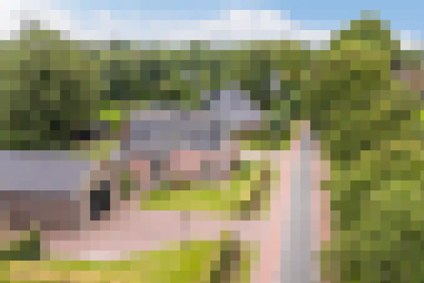 Zomerweg 68 Burgum thumbnail 70