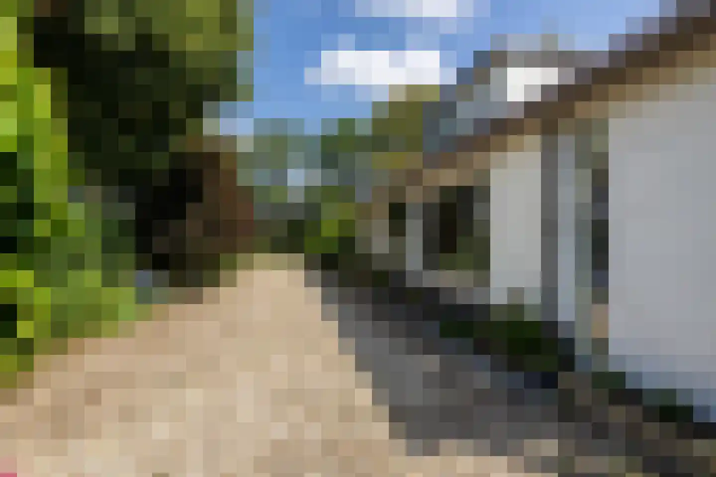 Zomerweg 78 Noardburgum thumbnail 10