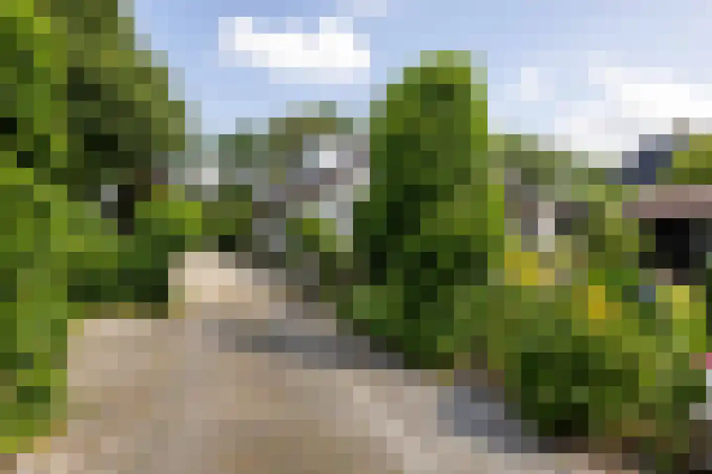 Zomerweg 78 Noardburgum thumbnail 11