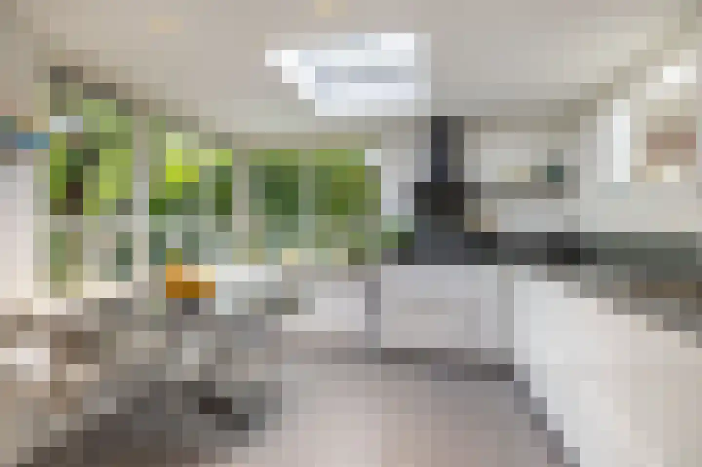 Zomerweg 78 Noardburgum thumbnail 31