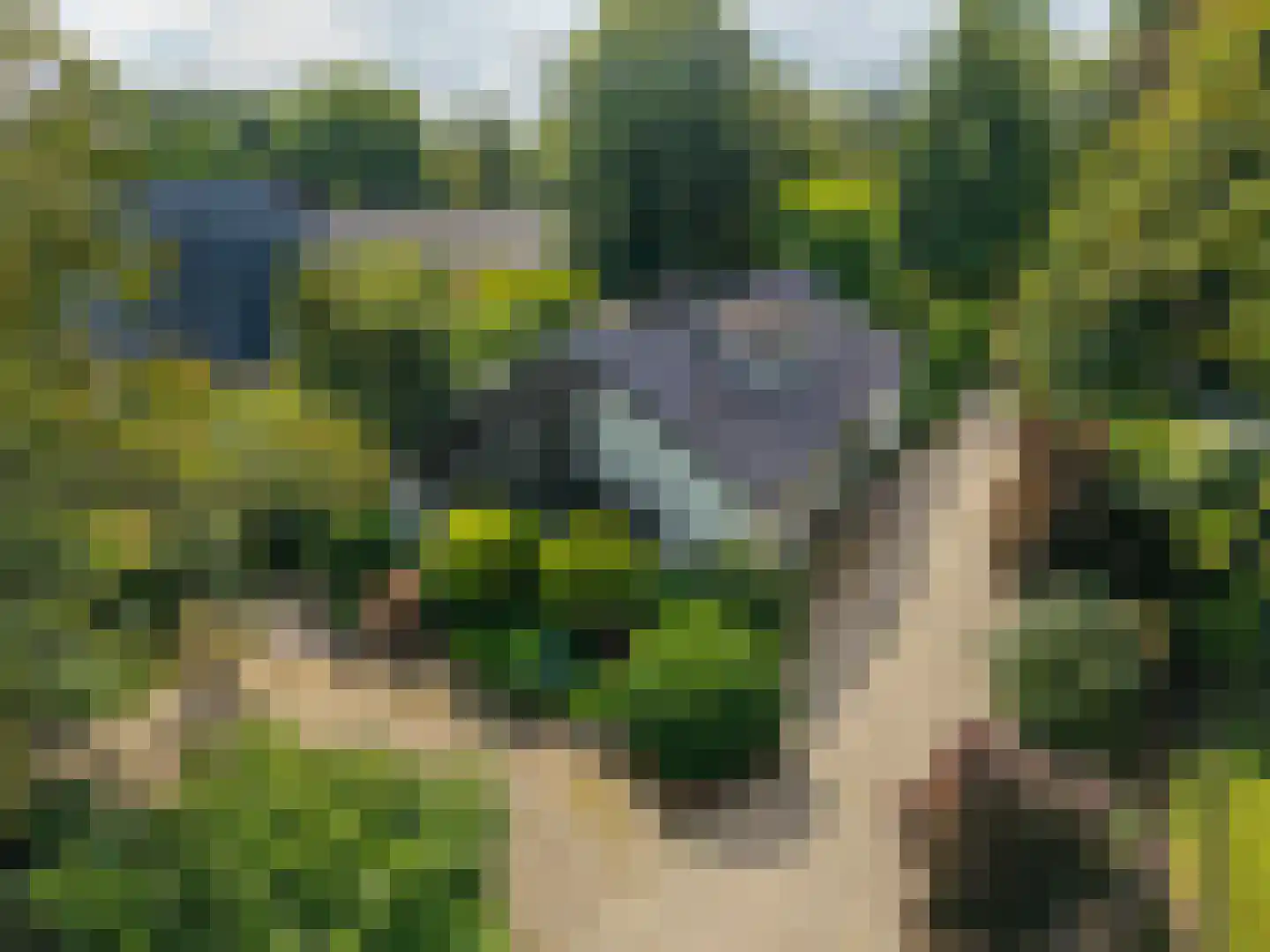 Zomerweg 78 Noardburgum thumbnail 4