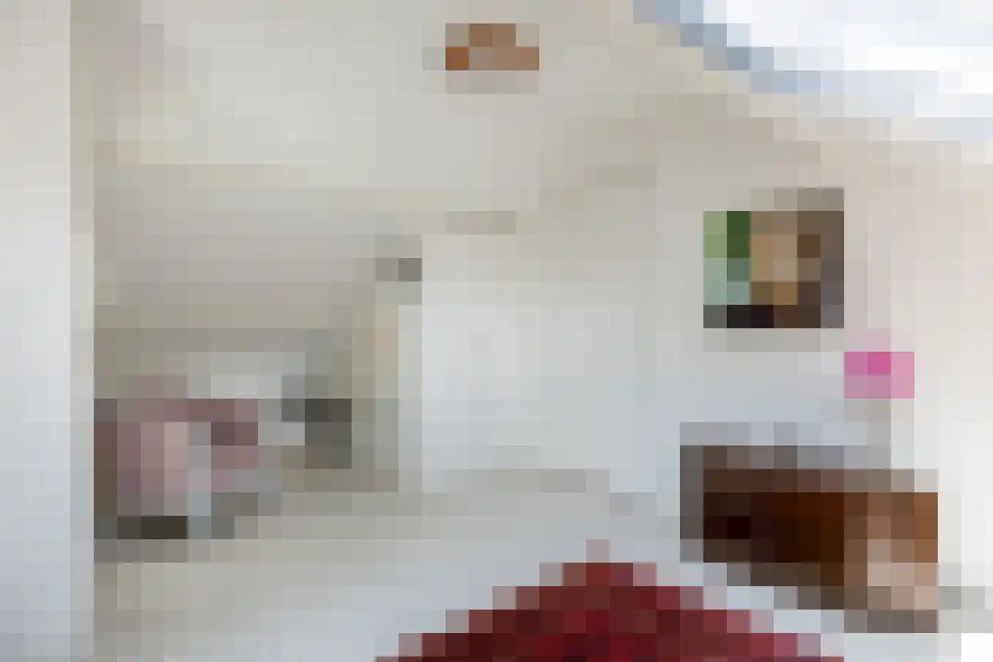Zomerweg 78 Noardburgum thumbnail 51