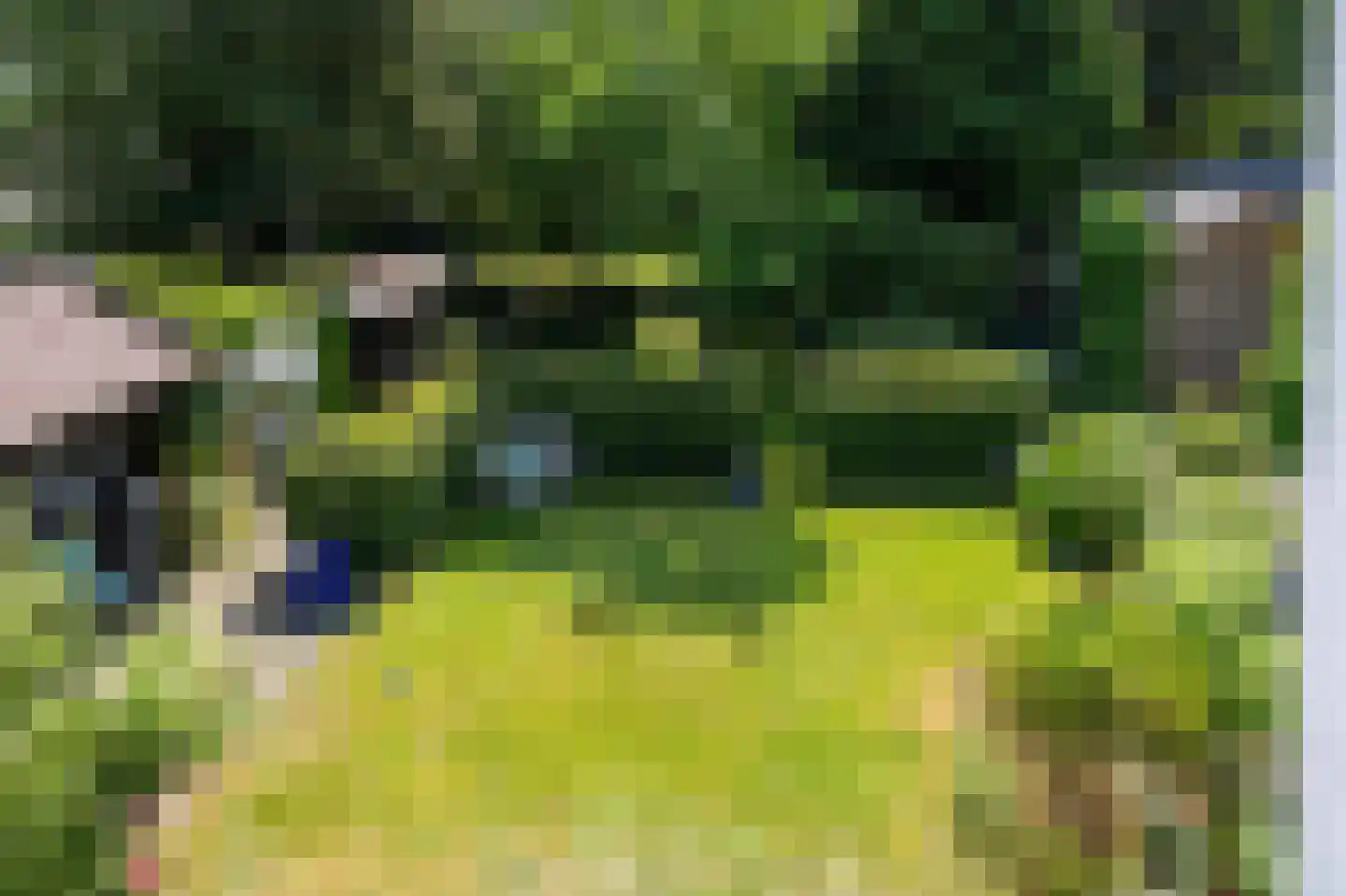 Zomerweg 78 Noardburgum thumbnail 58