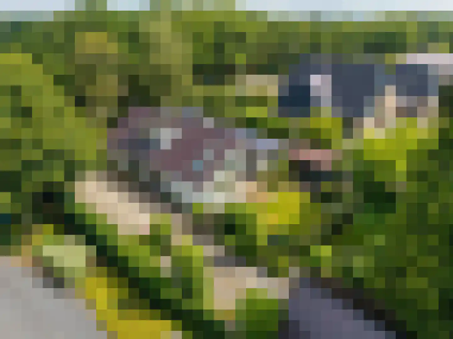 Zomerweg 78 Noardburgum thumbnail 6