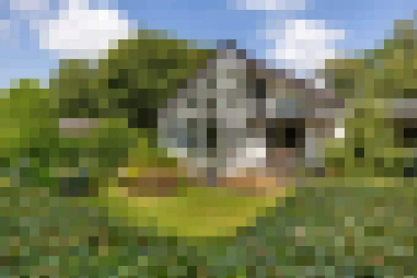 Zomerweg 78 Noardburgum thumbnail 60