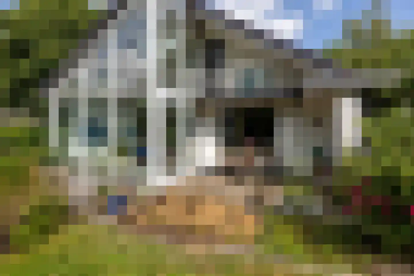 Zomerweg 78 Noardburgum thumbnail 62