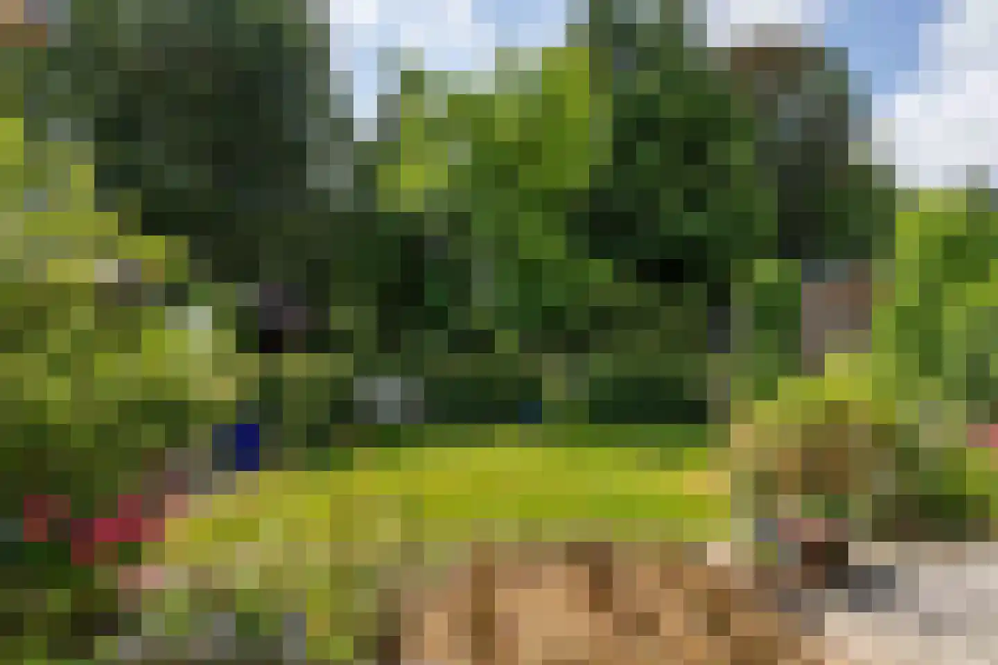 Zomerweg 78 Noardburgum thumbnail 65