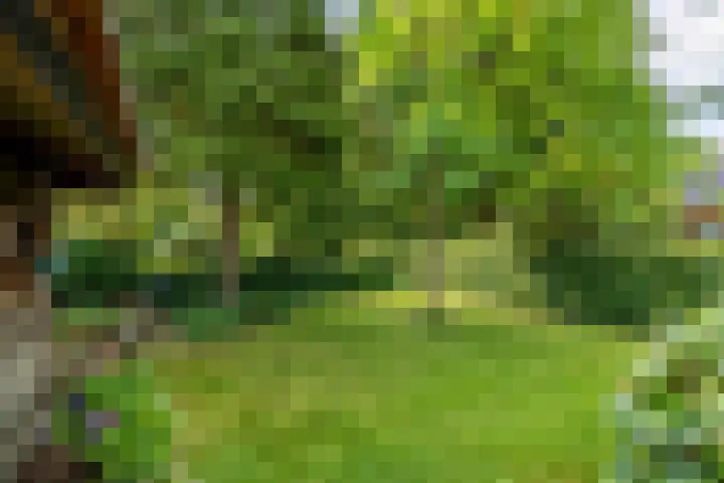 Zomerweg 78 Noardburgum thumbnail 66