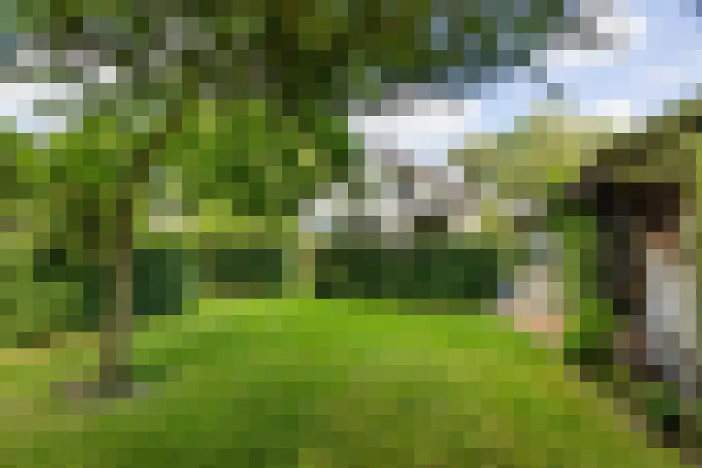 Zomerweg 78 Noardburgum thumbnail 67