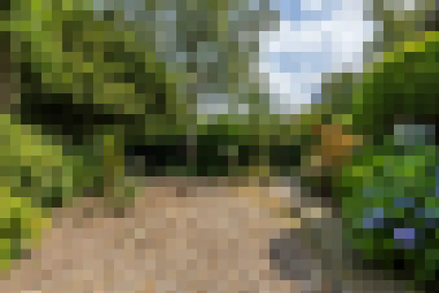 Zomerweg 78 Noardburgum thumbnail 70