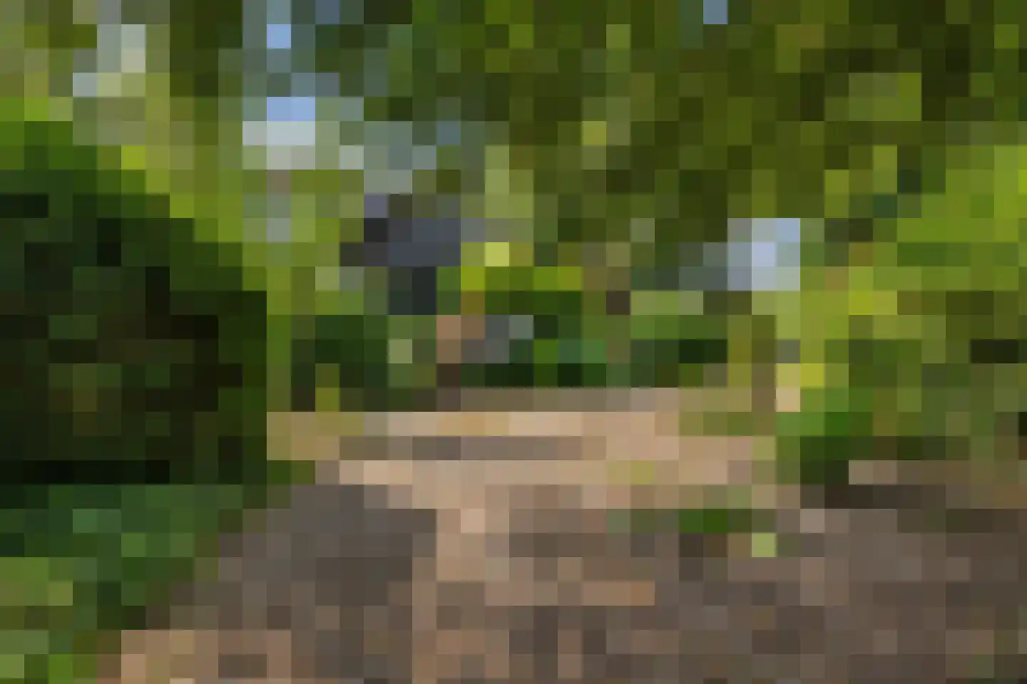 Zomerweg 78 Noardburgum thumbnail 71