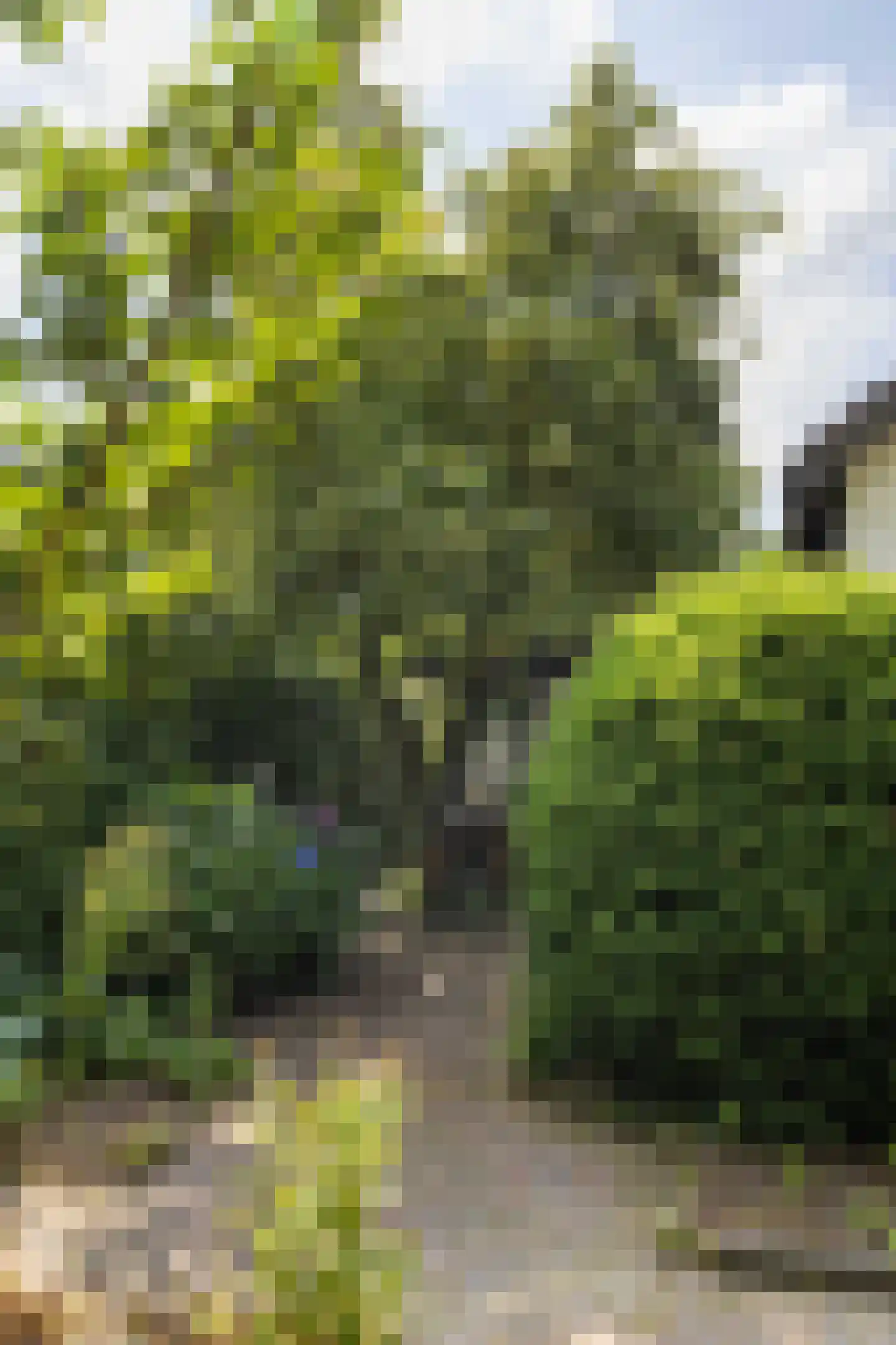 Zomerweg 78 Noardburgum thumbnail 72