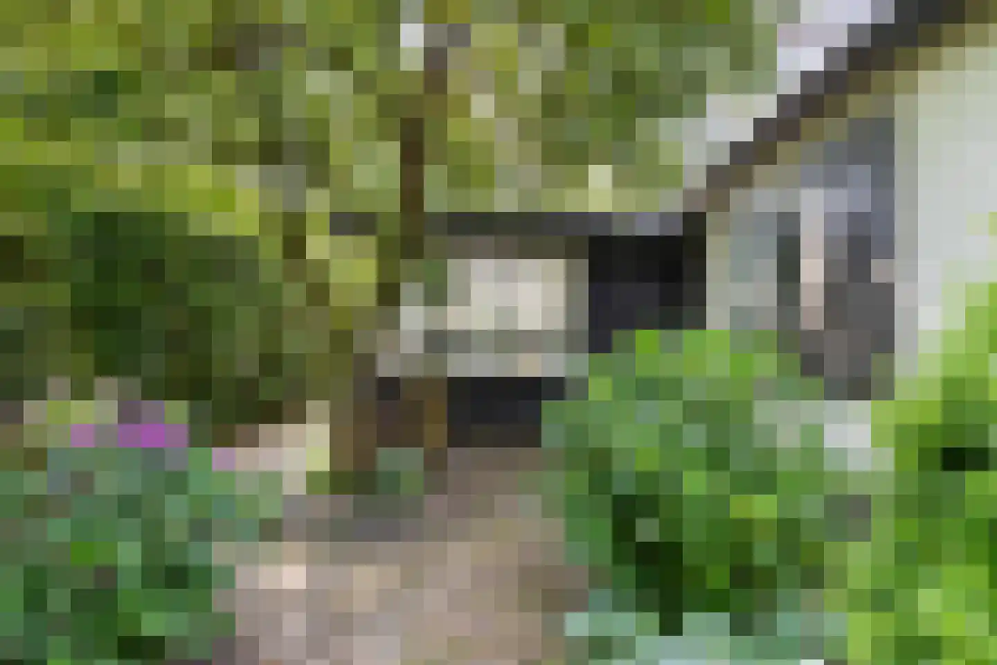 Zomerweg 78 Noardburgum thumbnail 73