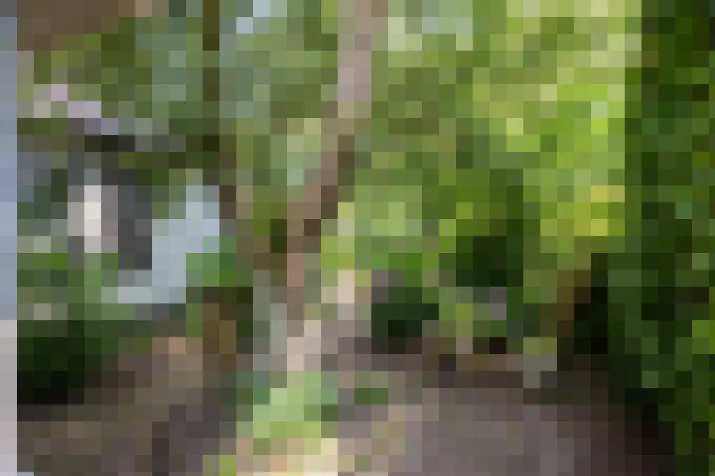 Zomerweg 78 Noardburgum thumbnail 74