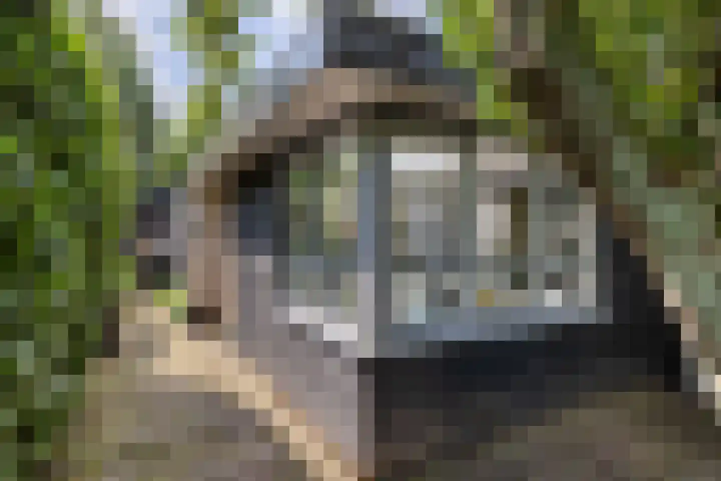 Zomerweg 78 Noardburgum thumbnail 75