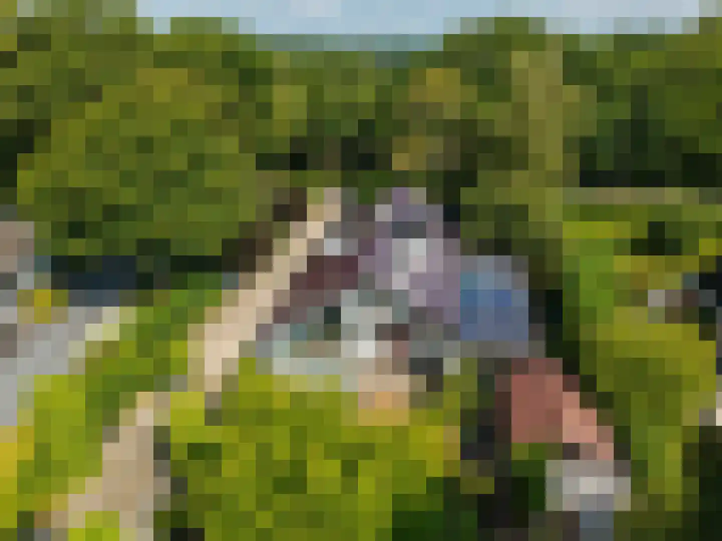 Zomerweg 78 Noardburgum thumbnail 76