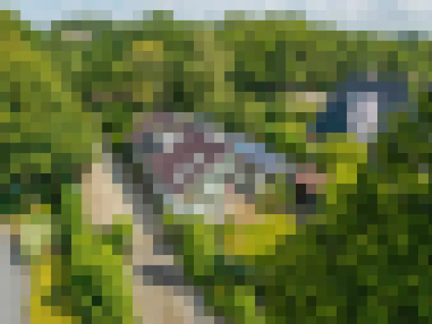 Zomerweg 78 Noardburgum thumbnail 77