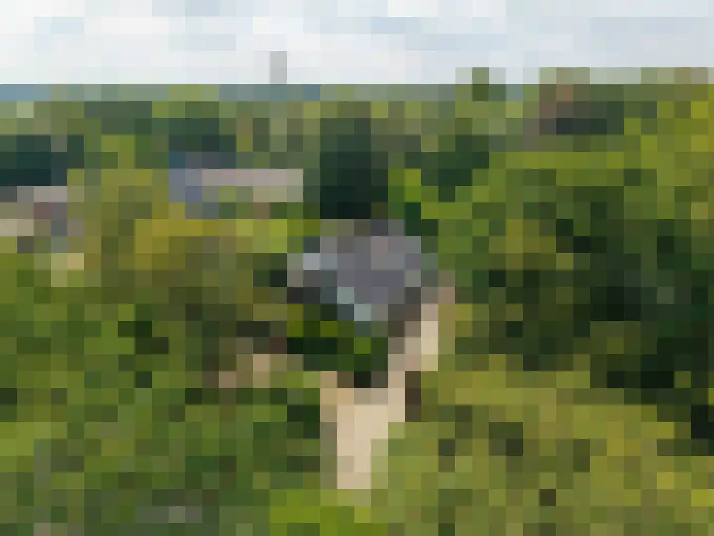 Zomerweg 78 Noardburgum thumbnail 78