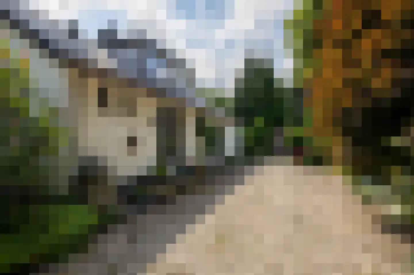Zomerweg 78 Noardburgum thumbnail 8