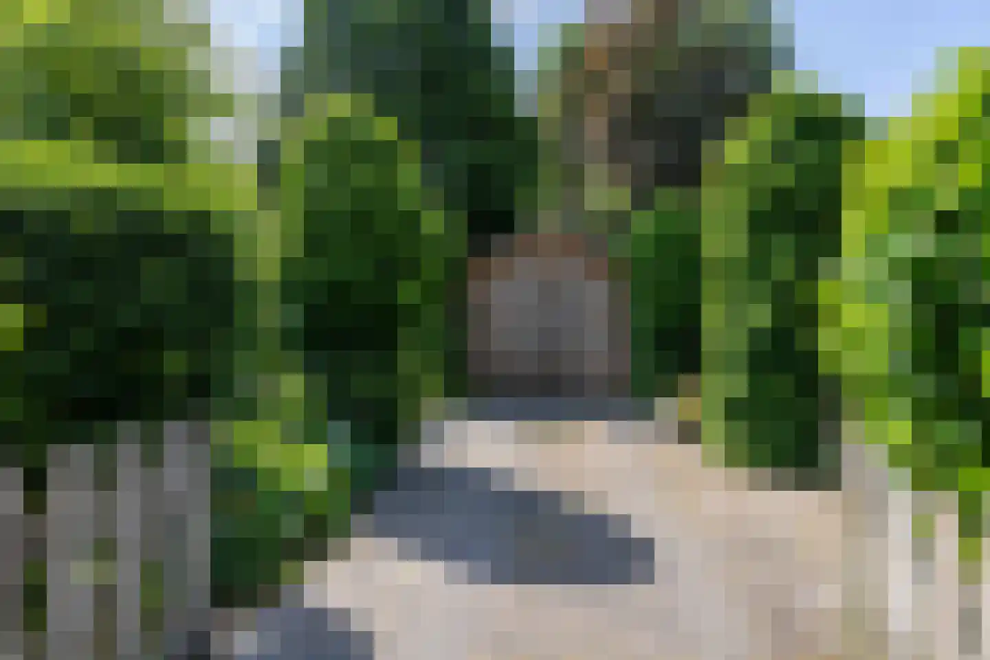 Zomerweg 78 Noardburgum thumbnail 9
