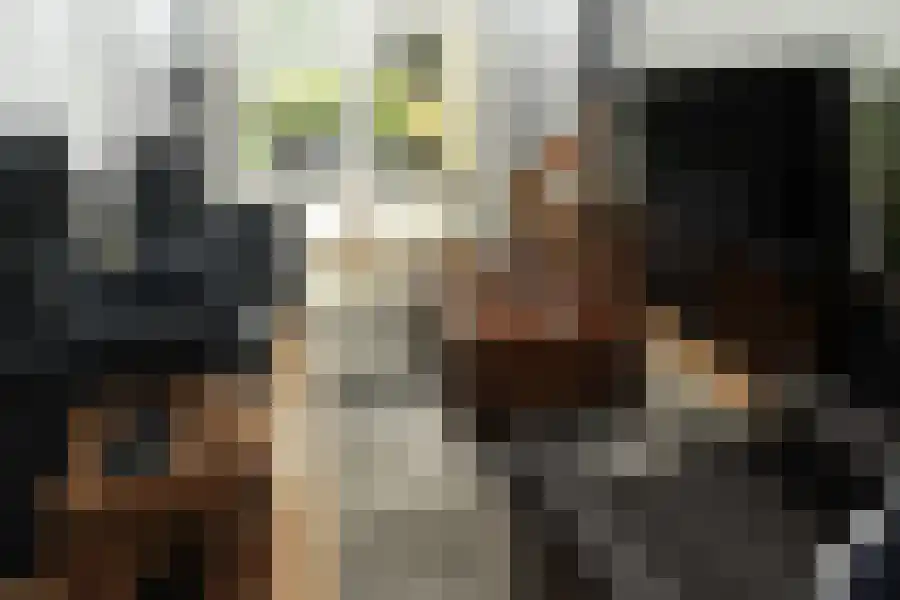 Zomerweg Noardburgum thumbnail 5