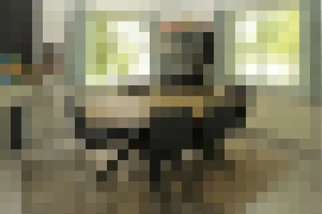 Zomerweg Noardburgum thumbnail 6