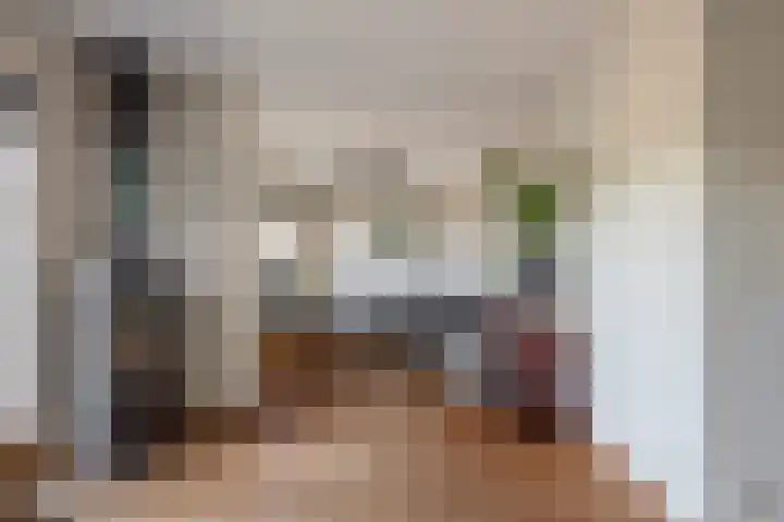 Zomerzon 10 Assendelft thumbnail 11